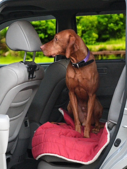 Roll up Travel Dog Mat, Settle Mat, Spot Training, Stain-Resistant, Water-Repellent, Machine Washable, Handmade Cotton, Soft & Durable